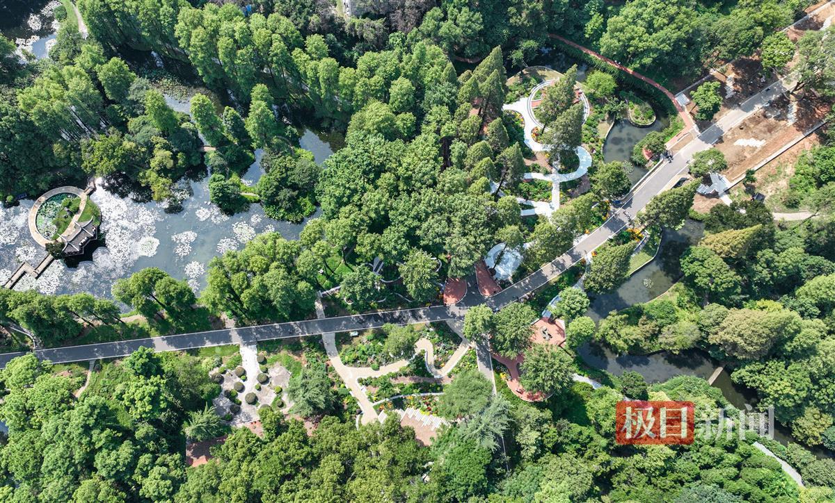 天下现金九州网址
